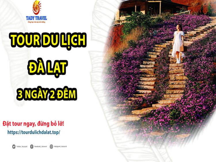 tour-du-lich-da-lat-3-ngay-2-dem13